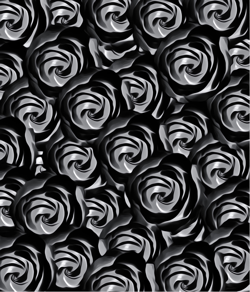 blooming rose pattern texture abstract background in black and white by Timmy333