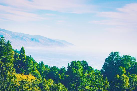 Beautiful ocean view with forest front view at Big Sur, California, USA by Timmy333