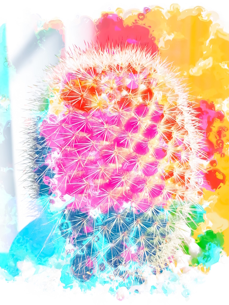 closeup cactus with colorful painting abstract in pink orange blue by Timmy333