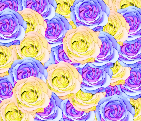 blooming rose texture pattern abstract background in yellow and pink by Timmy333