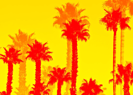 orange palm tree pattern abstract with yellow background by Timmy333