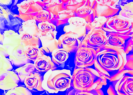 bouquet of roses texture pattern abstract in pink and purple by Timmy333