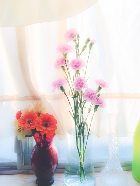 pink flower and orange flower in the vase with curtain background by Timmy333