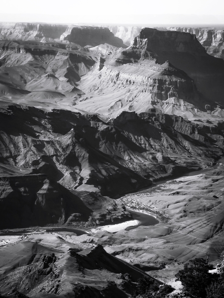 Desert at Grand Canyon national park, USA in black and white by Timmy333