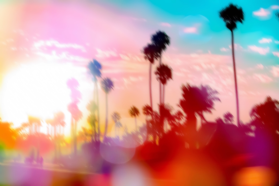 palm tree with sunset sky and light bokeh abstract background by Timmy333