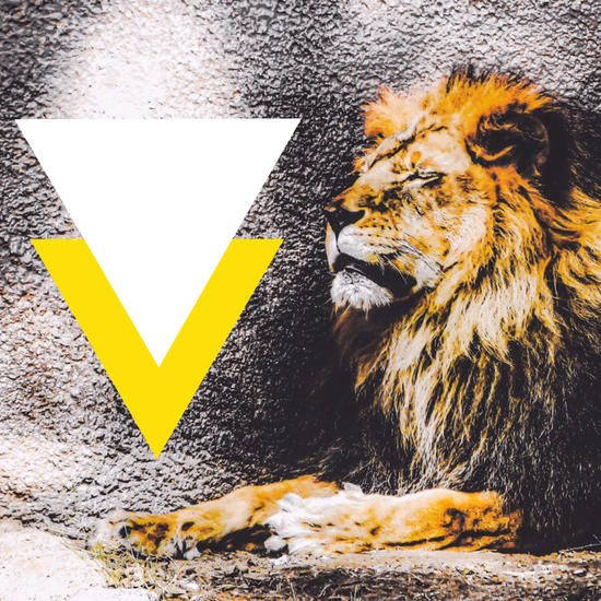 lion with white and yellow triangle  by Timmy333