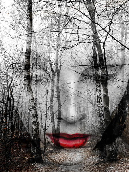 The face in the forest by Gabi Hampe