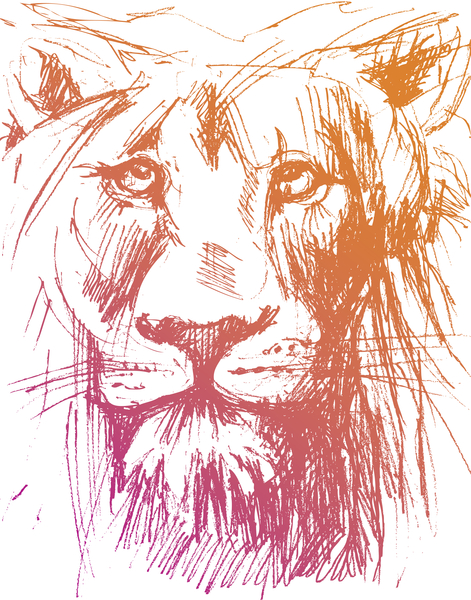 Lion by Georgio Fabrello