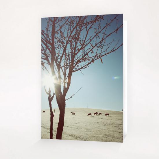 Tree and Cows Greeting Card & Postcard by Salvatore Russolillo