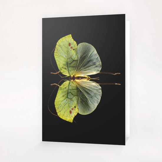 Cycloptera Greeting Card & Postcard by Mermet