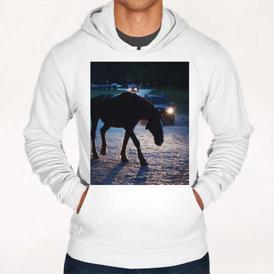 Light behind horses Hoodie by Salvatore Russolillo