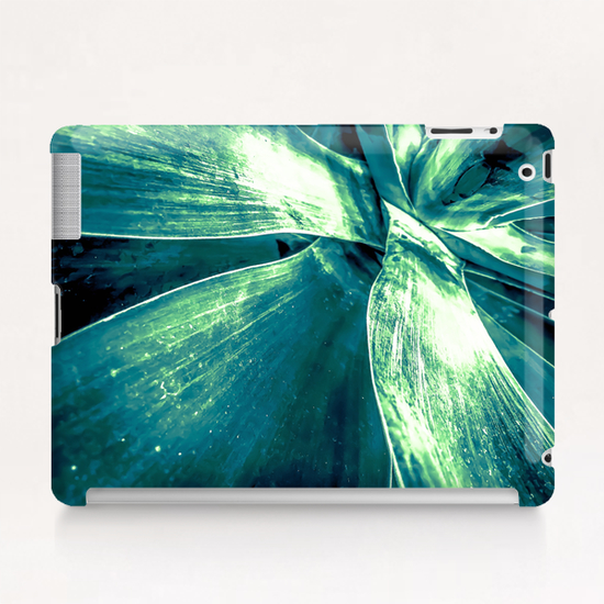 closeup green succulent leaves texture background Tablet Case by Timmy333