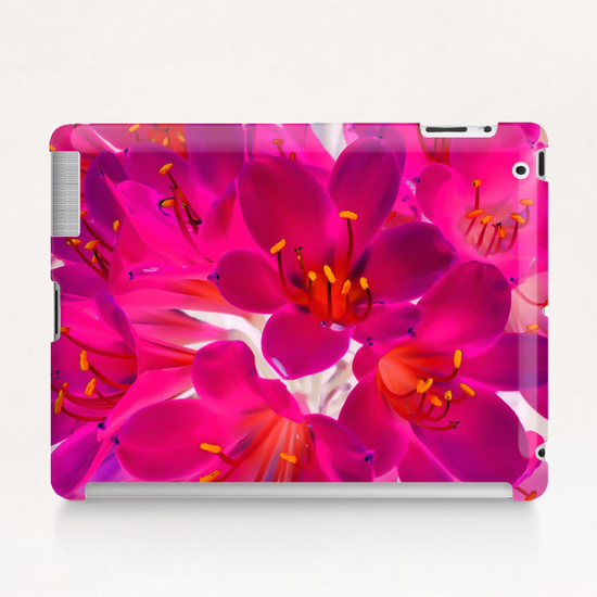 closeup pink flower texture abstract background with orange pollen Tablet Case by Timmy333