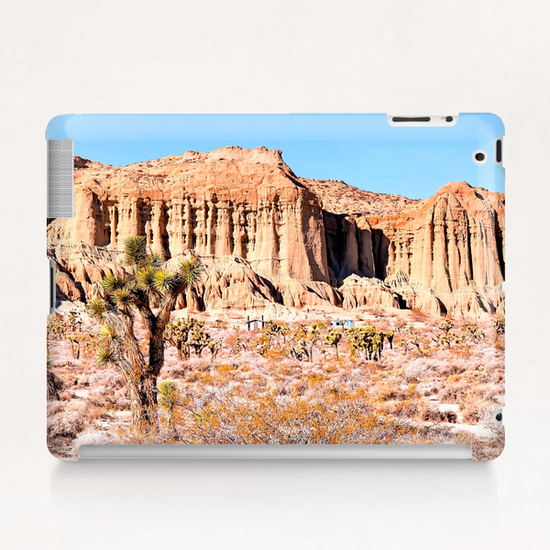 cactus in the desert with blue sky in summer at California,  USA Tablet Case by Timmy333