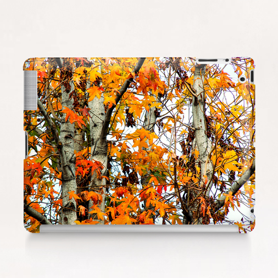 autumn maple leaves background Tablet Case by Timmy333