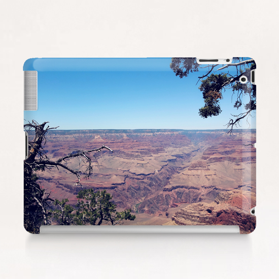 desert at Grand Canyon national park, USA in summer Tablet Case by Timmy333