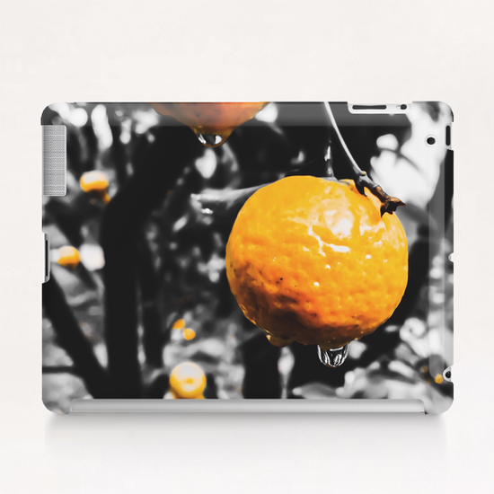 fresh orange fruit in the garden Tablet Case by Timmy333