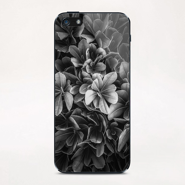 leaves texture background in black and white iPhone & iPod Skin by Timmy333