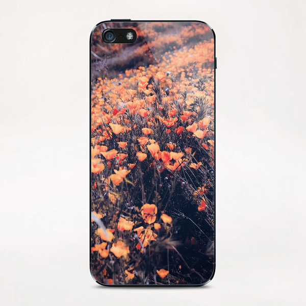 blooming yellow poppy flower field in California, USA iPhone & iPod Skin by Timmy333