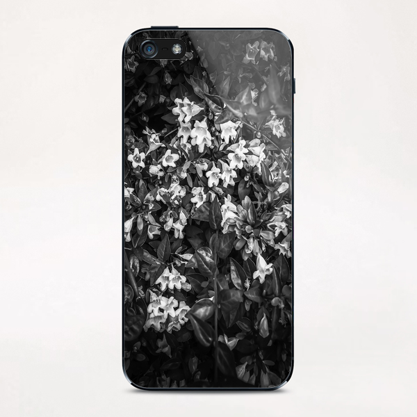 blooming flowers background in black and white iPhone & iPod Skin by Timmy333