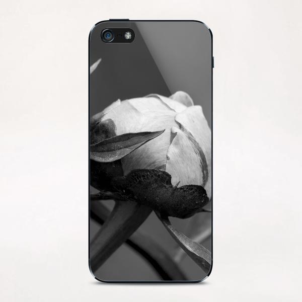 Unbloomed Flowers iPhone & iPod Skin by cinema4design