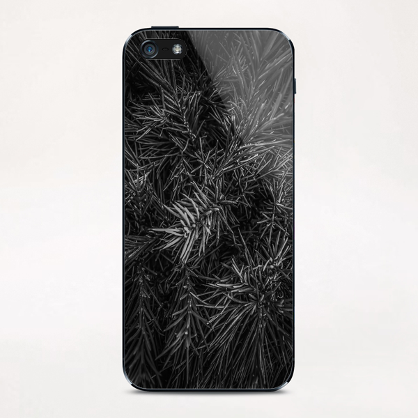 spiky plant texture abstract in black and white iPhone & iPod Skin by Timmy333