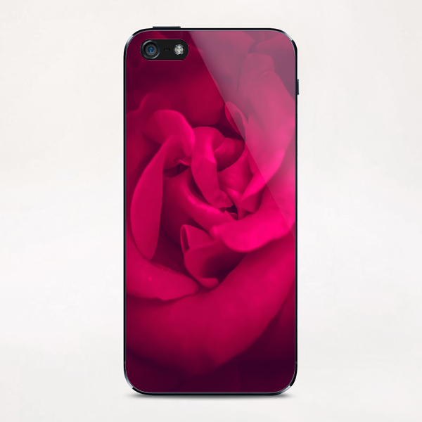 fresh and blooming red rose iPhone & iPod Skin by Timmy333