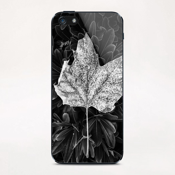 closeup leaves texture in black and white iPhone & iPod Skin by Timmy333