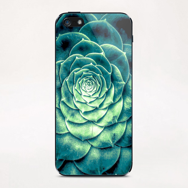 closeup green succulent plant leaves background iPhone & iPod Skin by Timmy333