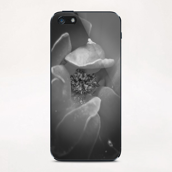 closeup rose texture in black and white iPhone & iPod Skin by Timmy333