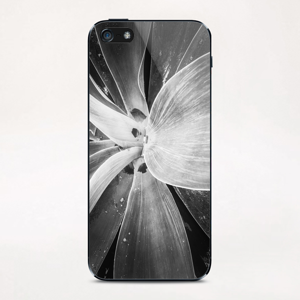 succulent leaves texture in black and white iPhone & iPod Skin by Timmy333