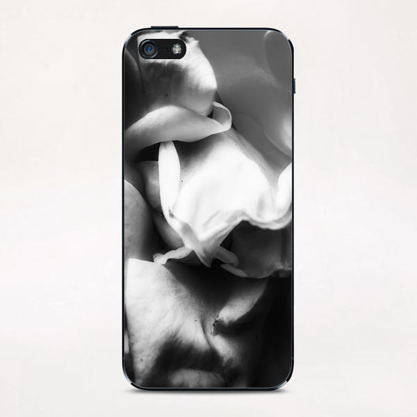 rose texture abstract background in black and white iPhone & iPod Skin by Timmy333