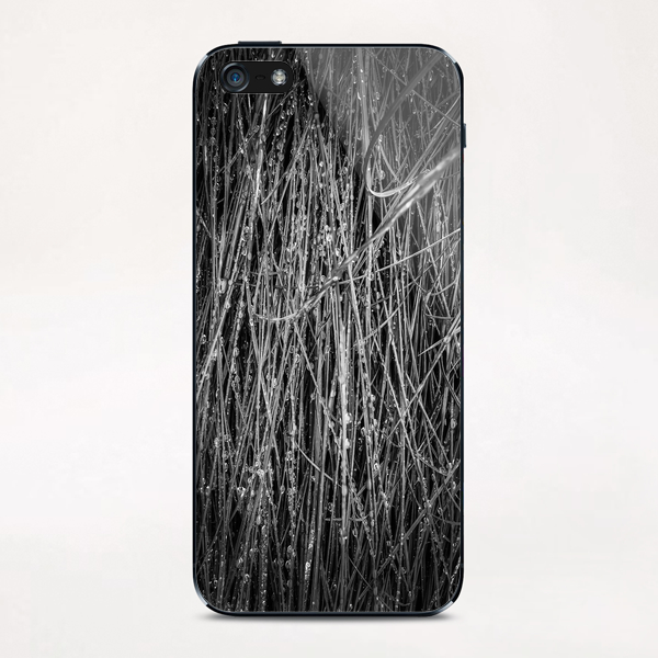 silky grass texture in black and white iPhone & iPod Skin by Timmy333