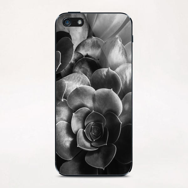 succulent plant texture in black and white iPhone & iPod Skin by Timmy333