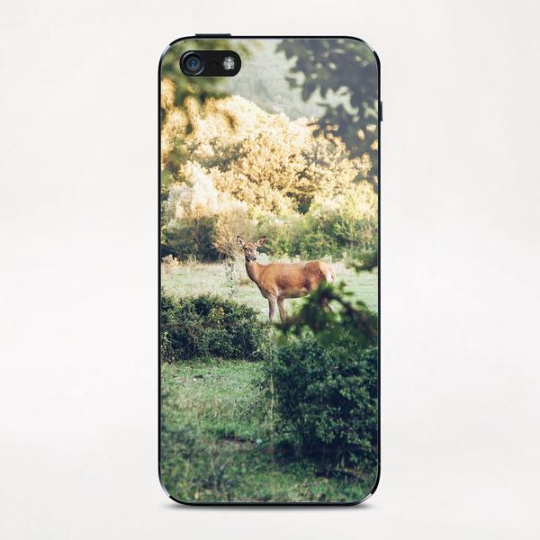 Lone Deer iPhone & iPod Skin by Salvatore Russolillo