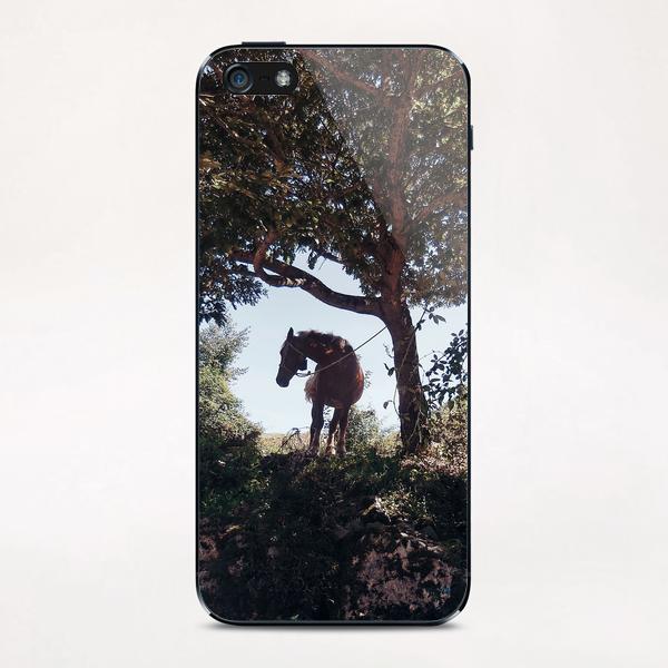 The Horse iPhone & iPod Skin by Salvatore Russolillo