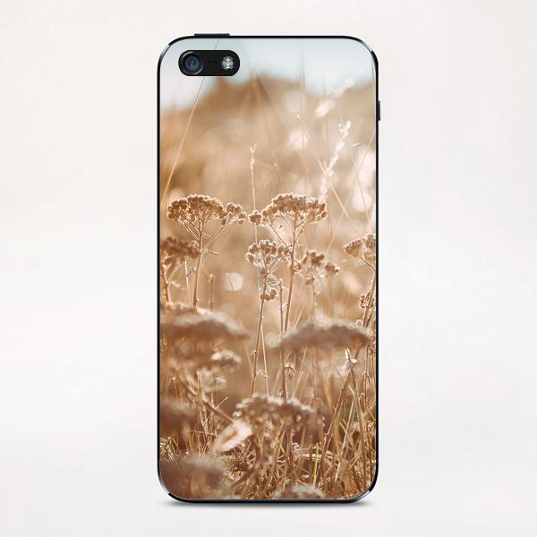 Field iPhone & iPod Skin by Salvatore Russolillo