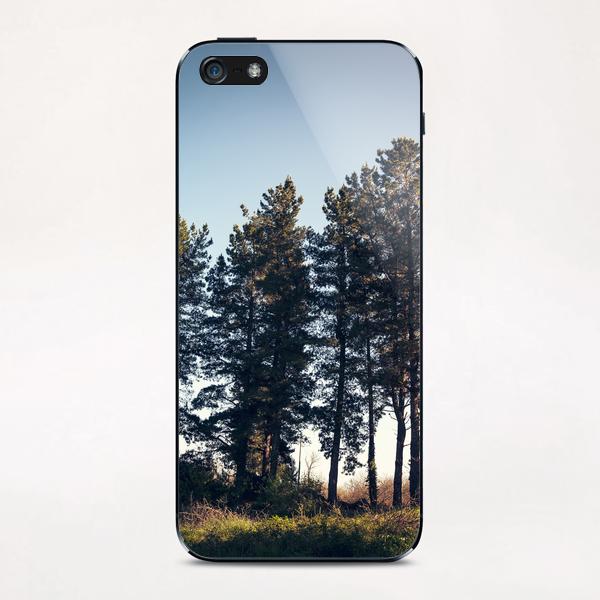 Trees II iPhone & iPod Skin by Salvatore Russolillo