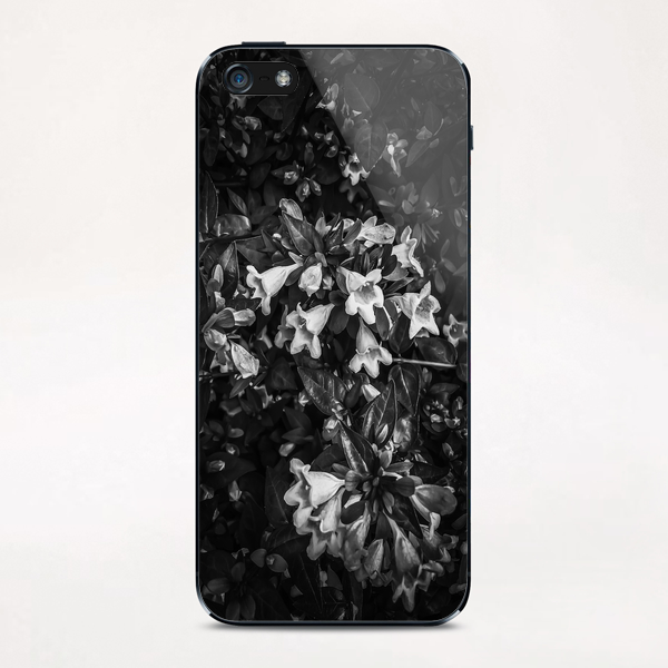 blooming flowers in black and white iPhone & iPod Skin by Timmy333