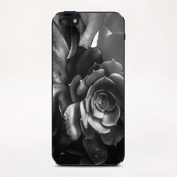 closeup succulent plant in black and white iPhone & iPod Skin by Timmy333