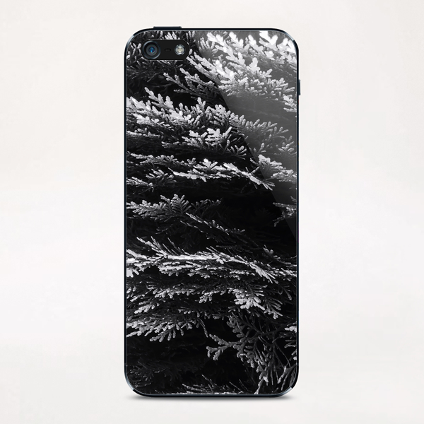 closeup leaf texture abstract background in black and white iPhone & iPod Skin by Timmy333