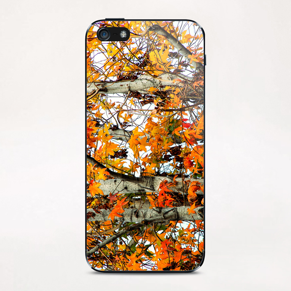 autumn maple leaves background iPhone & iPod Skin by Timmy333