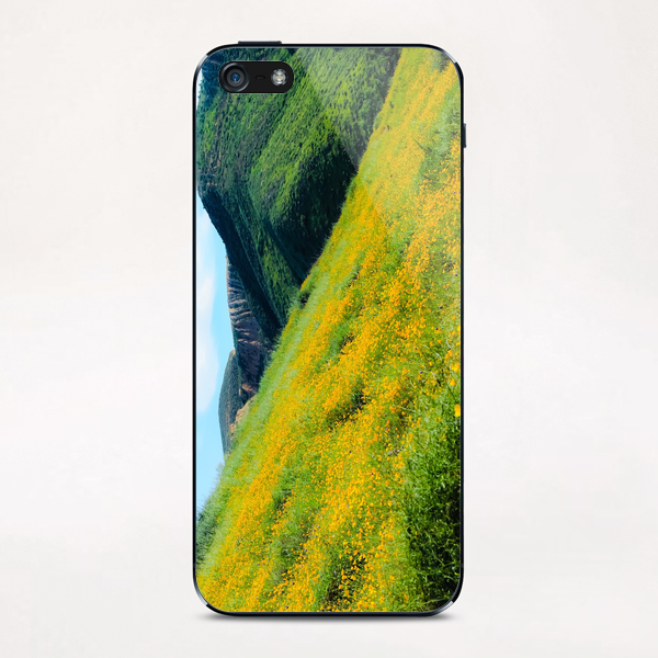 yellow poppy flower field with green leaf and green mountain and cloudy blue sky in summer iPhone & iPod Skin by Timmy333