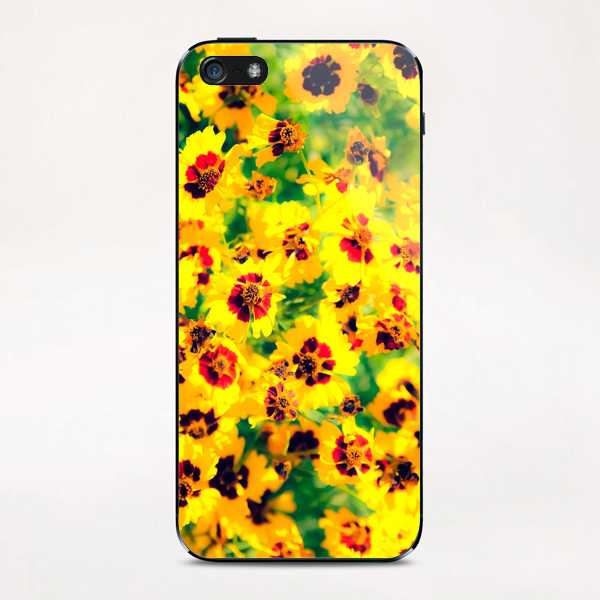 blooming yellow flower with green leaf background iPhone & iPod Skin by Timmy333