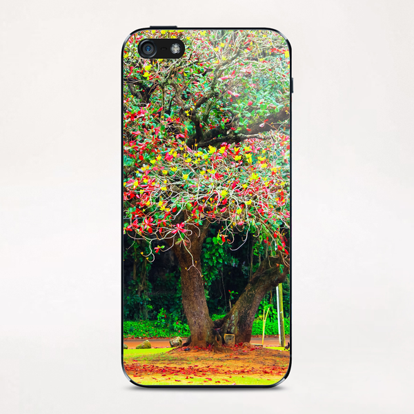 big tree with green yellow and red leaves iPhone & iPod Skin by Timmy333