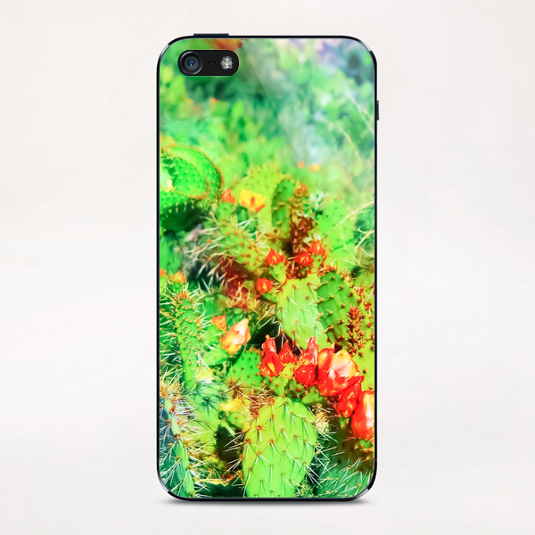 green cactus with yellow and red flower in the desert iPhone & iPod Skin by Timmy333