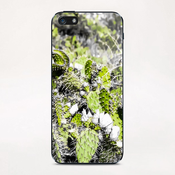 texture of the green cactus with white flower in the desert  iPhone & iPod Skin by Timmy333