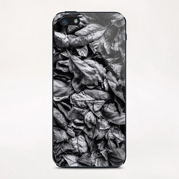 closeup leaf texture in black and white iPhone & iPod Skin by Timmy333