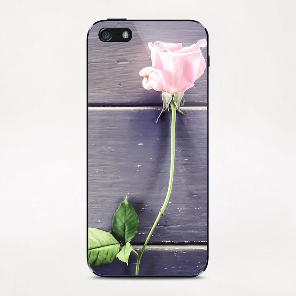 pink rose background iPhone & iPod Skin by Timmy333