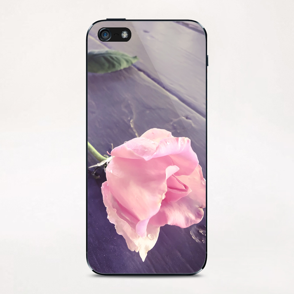 closeup pink rose iPhone & iPod Skin by Timmy333